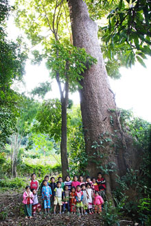 children-with-big-tree