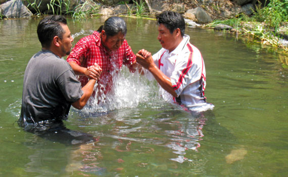 nmf-baptism