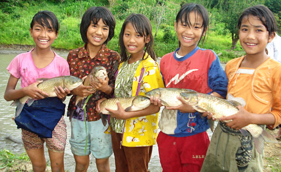fish-pond