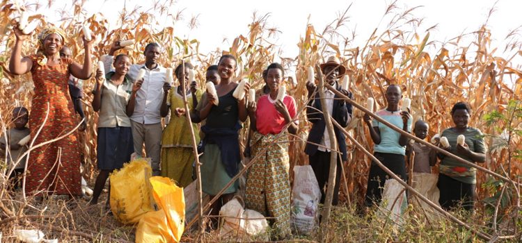 Farming God's Way farmers celebrating harvest
