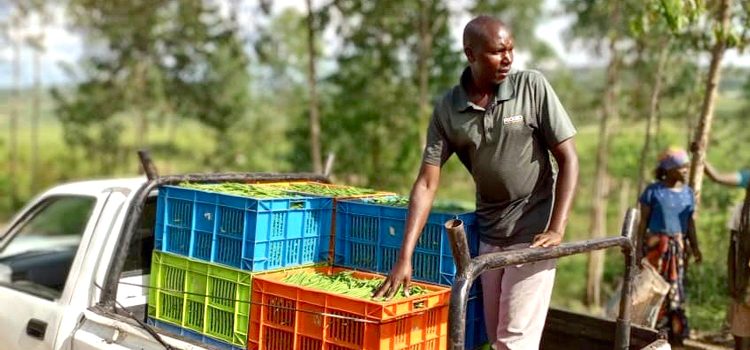 Image of farmer with harvest