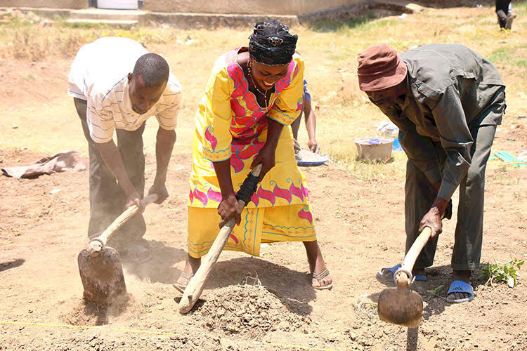 Picture of farmers in DR Congo using Farming God's Way techniques