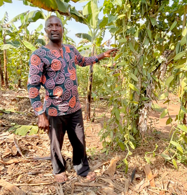 Image of pastor with vanilla crop