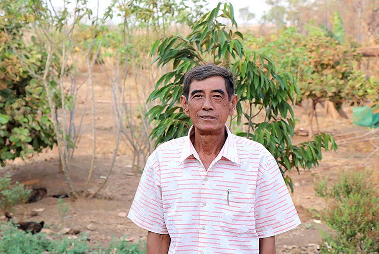 Image of Cashew farmer