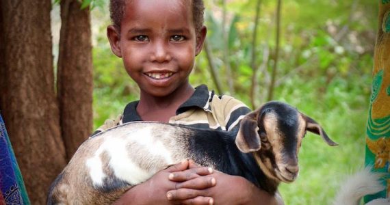 Ethiopian child holding kid goat