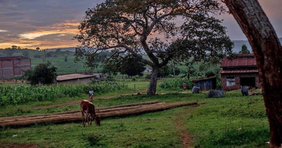 Picture of beautiful scenery in Africa