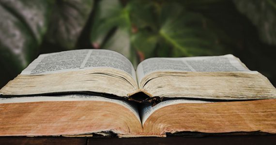 Picture of Bibles in the jungle
