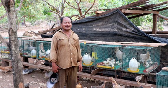 Picture of micro-borrower with chicken business