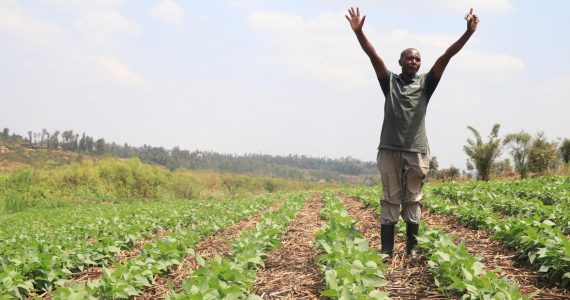 Image of farmer